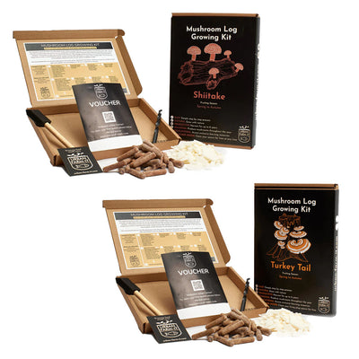 Mushroom Kit Bundle - Choose Any 2 & Save