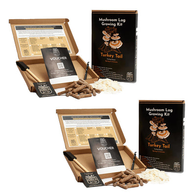 Mushroom Kit Bundle - Choose Any 2 & Save