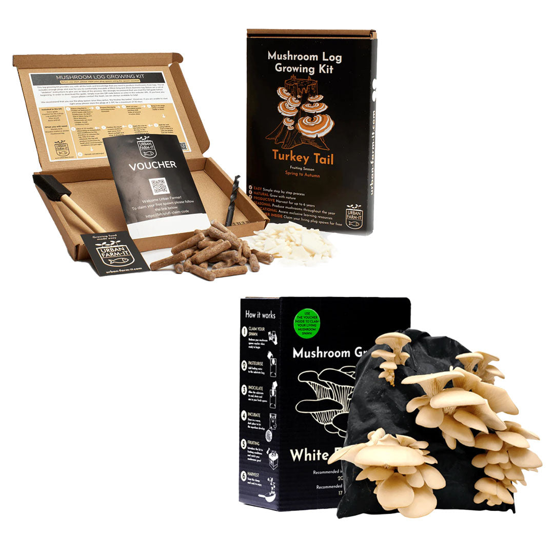 Mushroom Kit Bundle - Choose Any 2 & Save