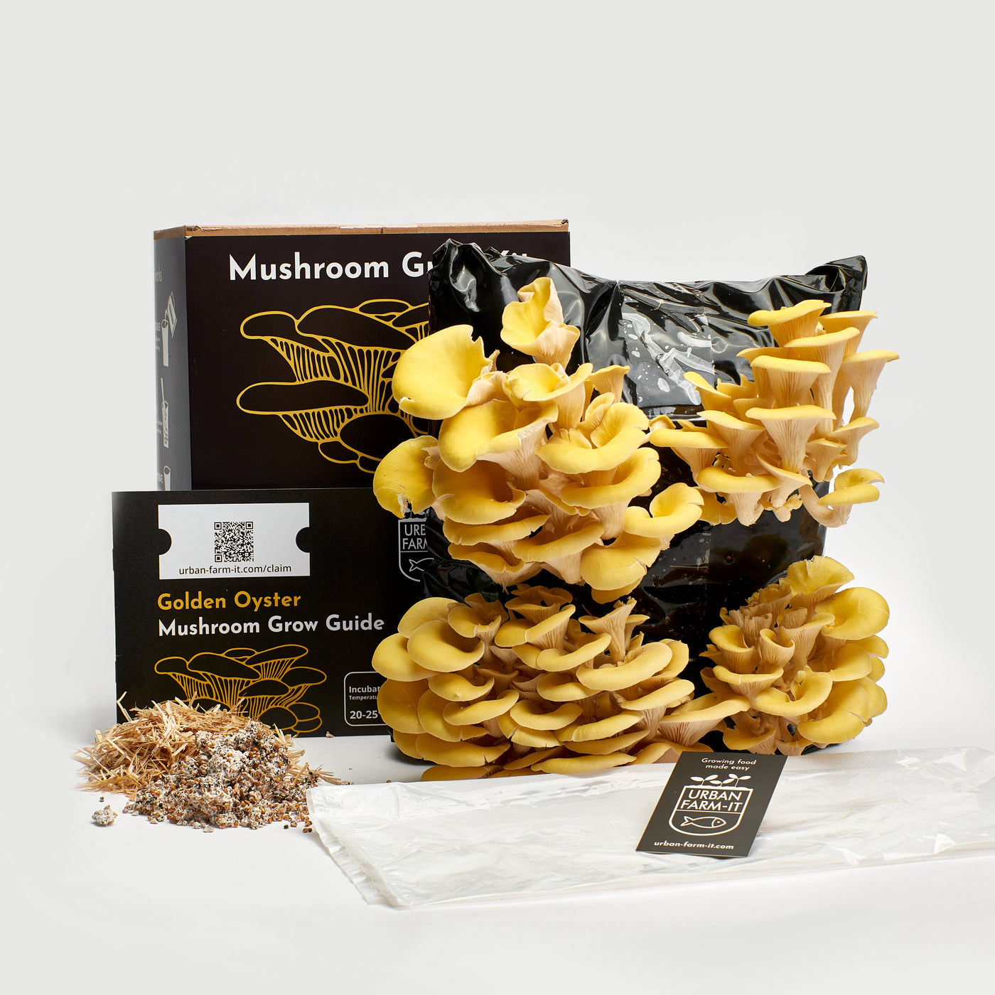 Yellow-Gold Oyster Mushroom Growing Kit – Gift Option