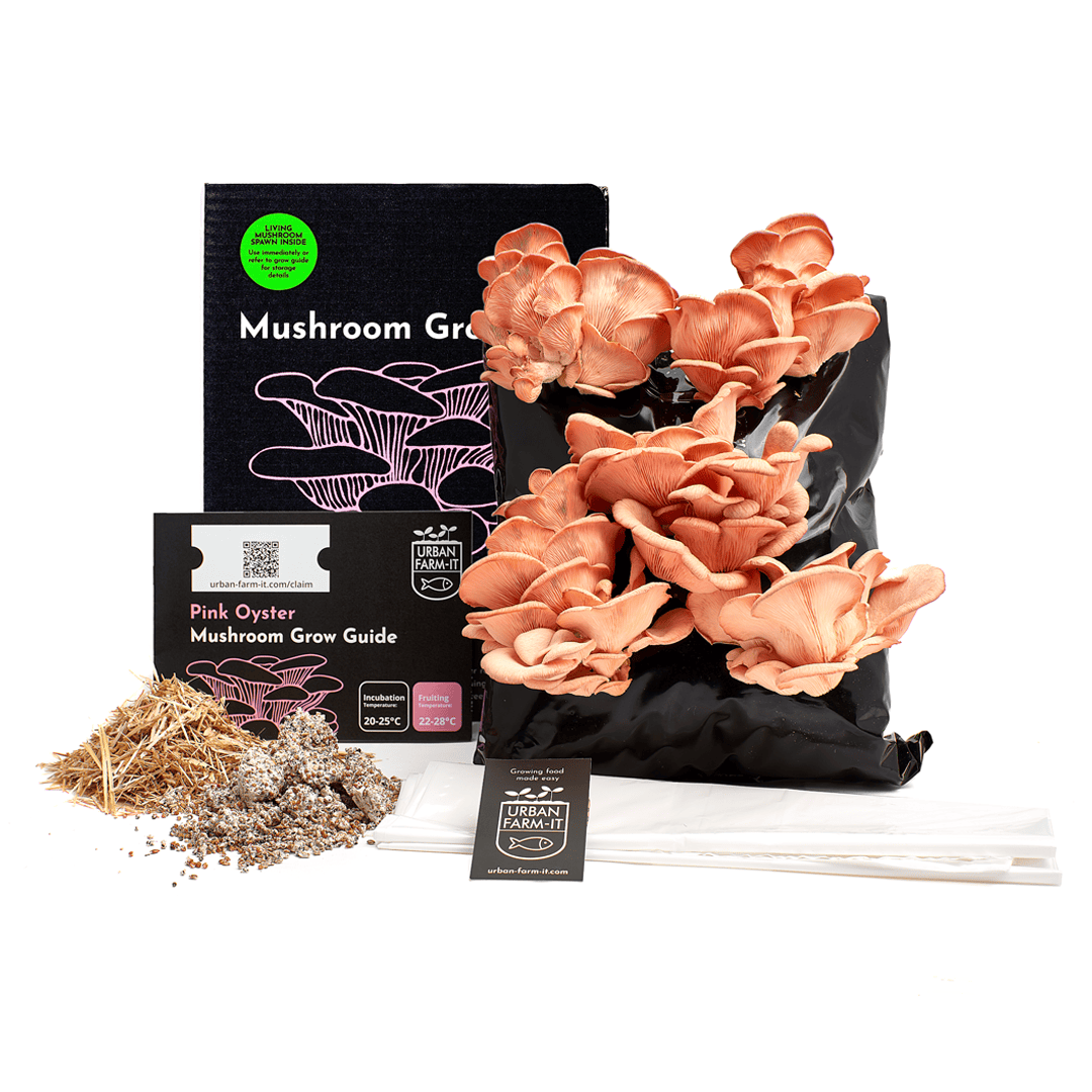 Pink Oyster Mushroom Growing Kit