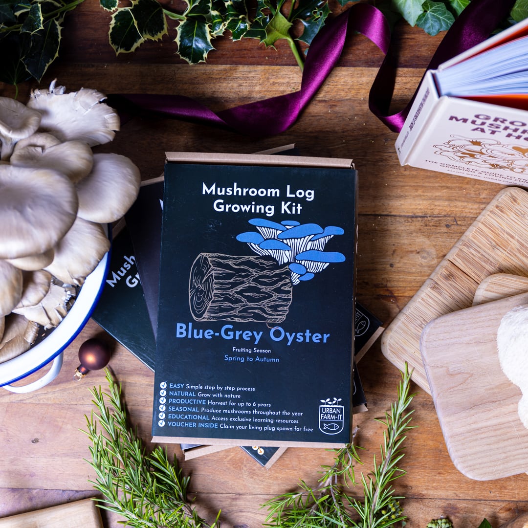 Blue-Grey Oyster Mushroom Log Growing Kit - Gift Option