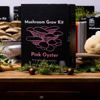 Pink Oyster Mushroom Growing Kit