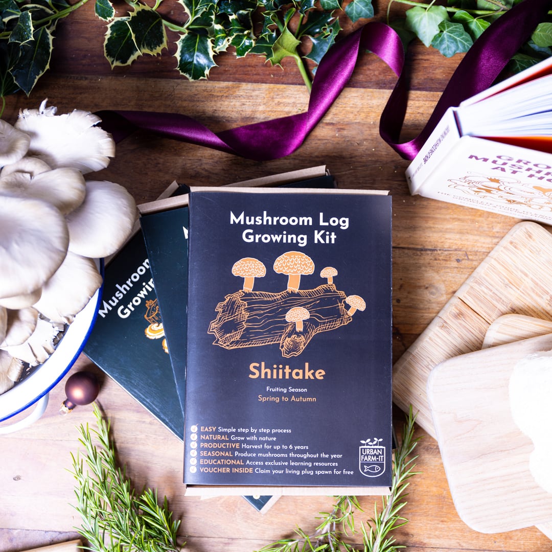 Shiitake Mushroom Log Growing Kit