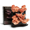 Oyster Mushroom Growing Kit – Gift Option